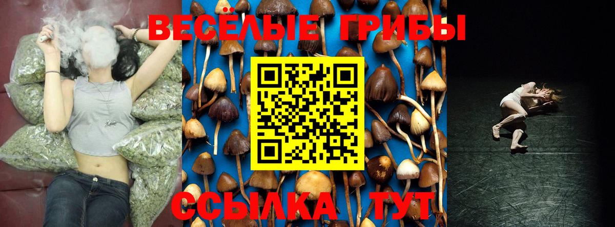 Лянтор  Галлюциногенные грибы Psilocybine cubensis  Вход с VPN  Псилоцибиновые грибы Cubensis 
