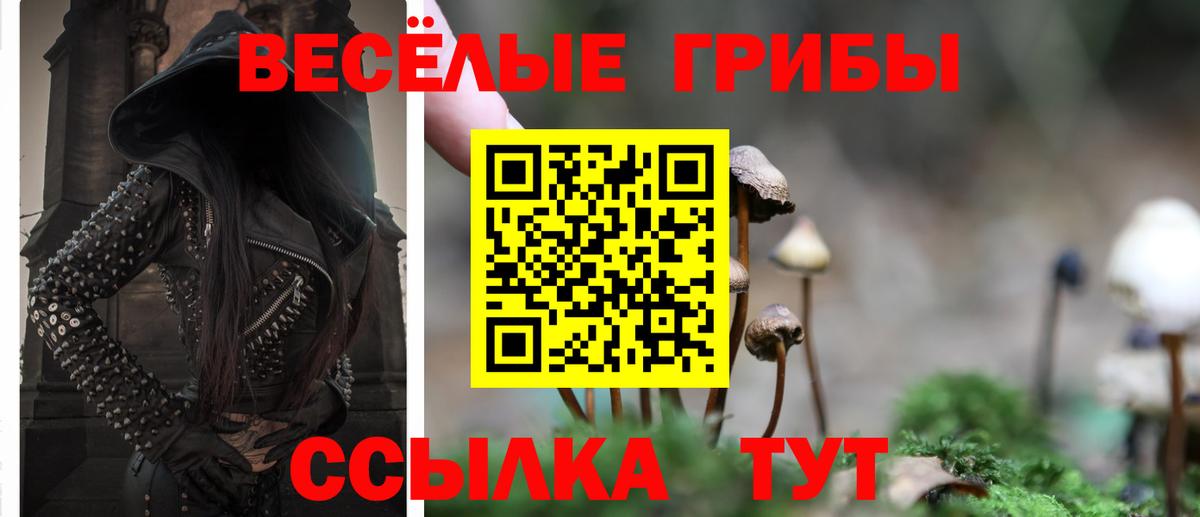 Галлюциногенные грибы прущие грибы Лянтор